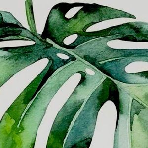 CLOSET CLEAR OUT EVERYTHING NEEDS TO GO